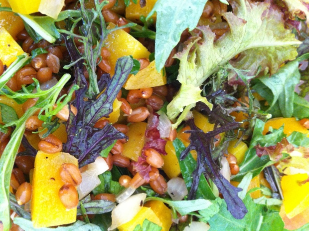 Wheatberry salad with golden beets and mustard greens.