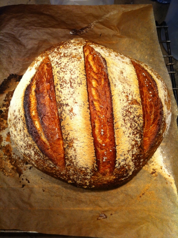 Whole wheat sour dough bread.